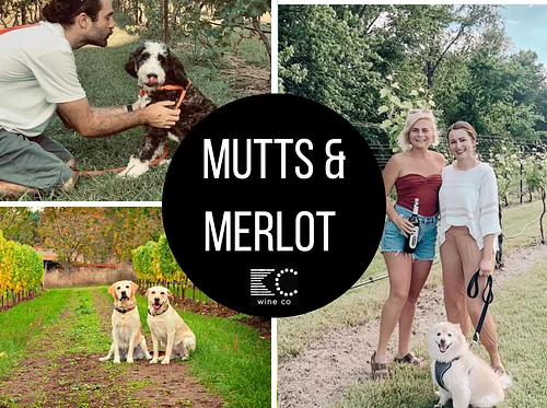 Mutts & Merlot {dog day}