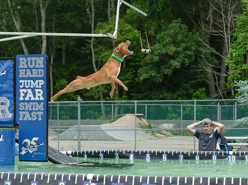 10th Annual North Fork Dock Diving Weekend in Greenport