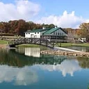Willow Tree Farms