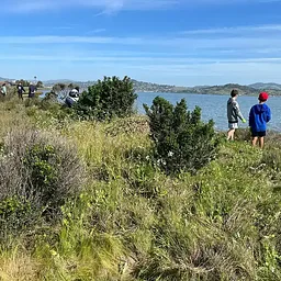 Triangle Marsh Volunteer Work Day