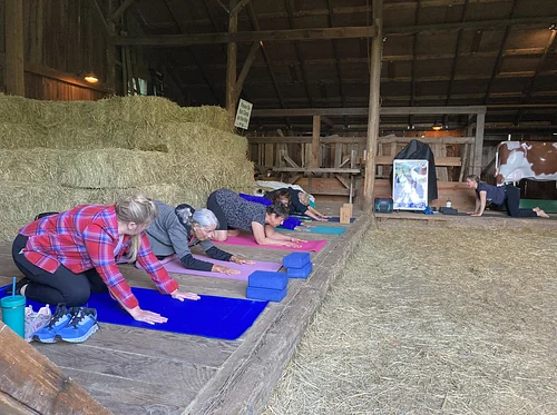 Unwind and Wine at the Mary Olson Farm