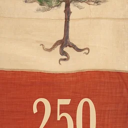 Walking Tour: 250 at Old York: The Rising Tide of Revolution