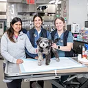 Animal Medical Center