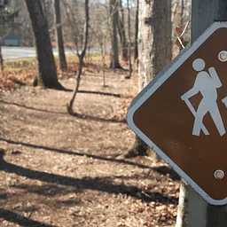 Living with Nature at Wintergreen Hike- December 5, 2026
