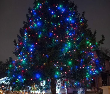 Tree Lighting at Historic Richmond Town