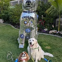 September Yappy Hour