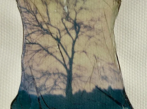 POLAROID TRANSFERS AND EMULSION LIFTS