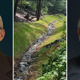Ecological Restoration for Backyard Habitats: Lessons from Larger Projects