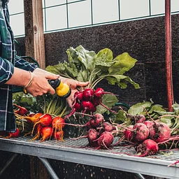 Volunteer at Newfield Farm