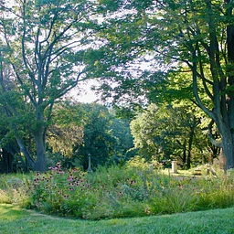 Mindfulness Walk with Stefanie Haug