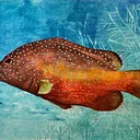 INTRODUCTION TO THE ART OF WATERCOLOR with Terry Donsen Feder