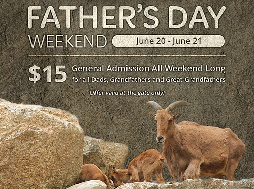 Father’s Day Weekend