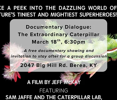 Documentary Dialogue: The Extraordinary Caterpillar