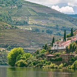 Douro Valley River Cruise with Browne Family