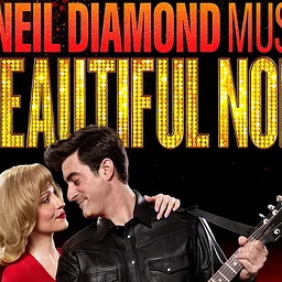 A Beautiful Noise