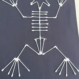Crafting Saturday: Skeleton