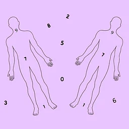 Numbers for Health and Healing on the Body and in the Field