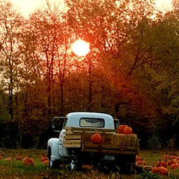 Fall Fest