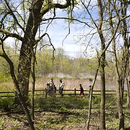 Junior Naturalist Walk