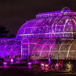 Christmas at Kew Gardens