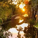 City Park New Orleans