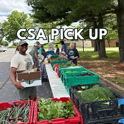 CSA Fall Share Pick Up