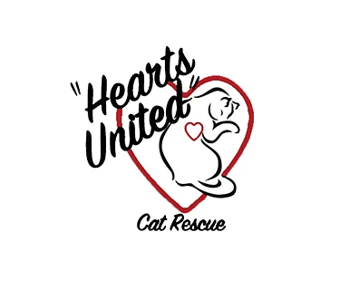 Hearts United at Pets Supplies Plus, Bristol