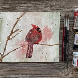 Cardinal Watercolor Class