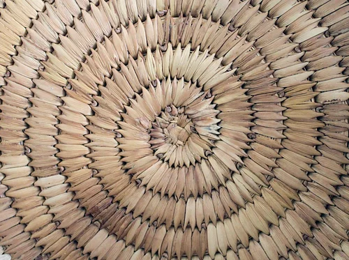 Backyard Baskets: Coiling with Natural Materials