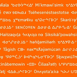 Indigenous North American Type