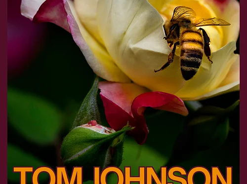 Guest Artist – Tom Johnson