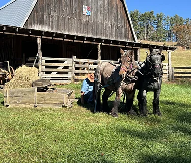 Workshop: Harnessing, Hitching, and Working a Team of Horses