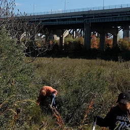 RIPA Fall Cleanup
