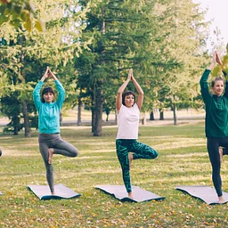 Yoga Under the Trees
