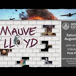 Mauve Lloyd: Pink Floyd Tribute