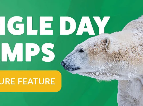 Single Day Camp – May 1, 2026 “Creature Feature” (SOLD OUT)