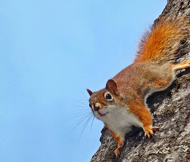 Summer Solstice Stroll