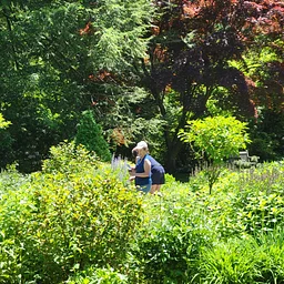 Nature Explorers