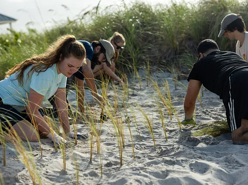 MUVE Volunteer Workday