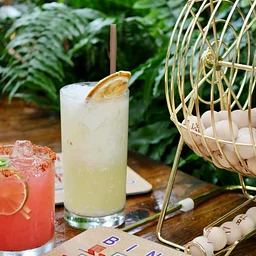 Bingo at Botanic
