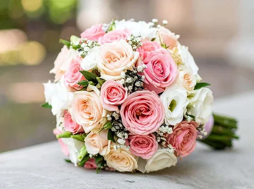 Tampa Bay Bridal Show