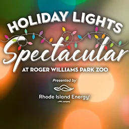 Holiday Lights Spectacular