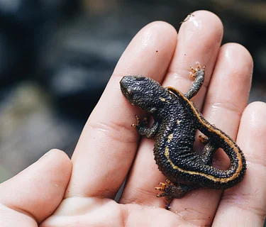 Saturday Kids’ Activity: Slimy Creatures