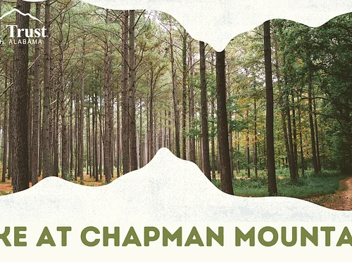 Hump Day Hike at Chapman Mountain