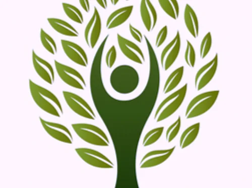 Drop In Genealogy Assistance