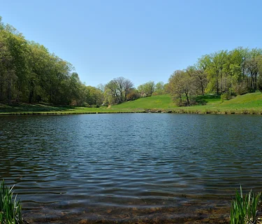 Director’s Garden Walk: Meadows, Streams, and Ponds