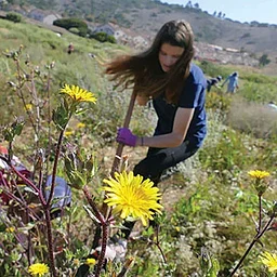 Outdoor Volunteer Day at Alta Vicente Reserve (Lower)