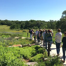 Nature Immersion Walk