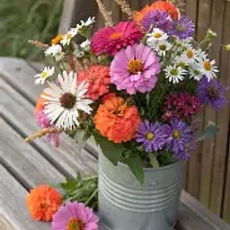 U-Pick Flowers