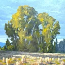 Putting Light into your Landscapes with Douglas Diehl